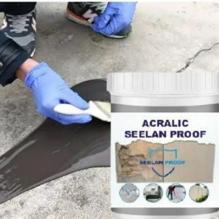 Acralic Seelan Proof